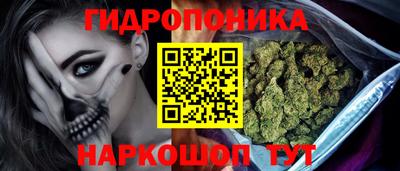 кокс Краснодар
