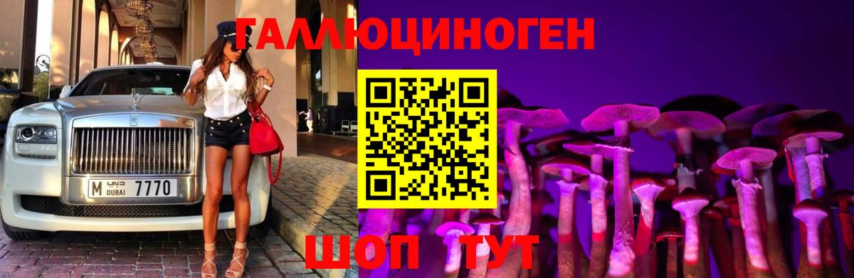 Тулун  Галлюциногенные грибы мицелий  Вход с VPN 