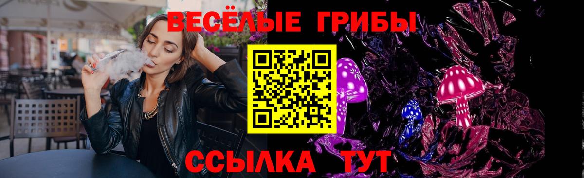 Псилоцибиновые грибы Psilocybine cubensis Тулун